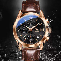 OLEVS 2872 men's leather quartz watch with round dial, black and brown leather band, classic design, and silver-tone case.