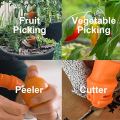 Silicone finger protector and vegetable cutter from Tarjah Mart, showing the safety guard and colorful cutting surface.